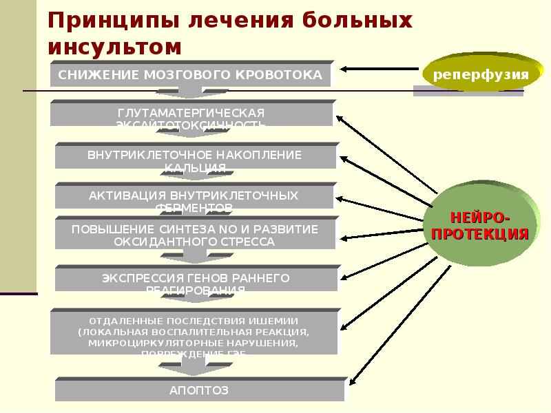 Принципы лечения больных. Тактика ведения пациента с инсультом. Принципы лечения инсульта. Тактика ведения пациентов при инсульте. Основные принципы лечения инсультов.