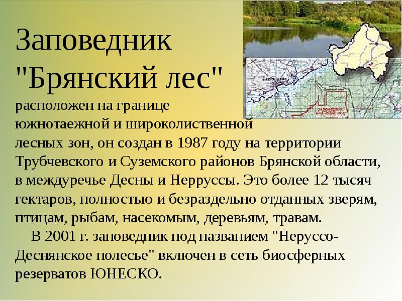 Брянский лес заповедник проект