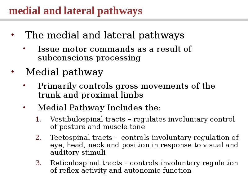 General Physiology Of Receptors System Somatic Sensations The Tactile general-physiology-of-receptors-system-somatic-sensations-the-tactile