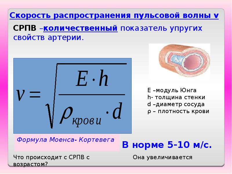 Давление пульсовой волны