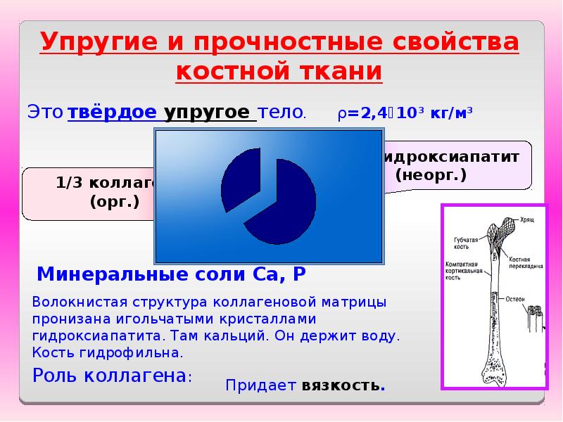 20 ньютон метр