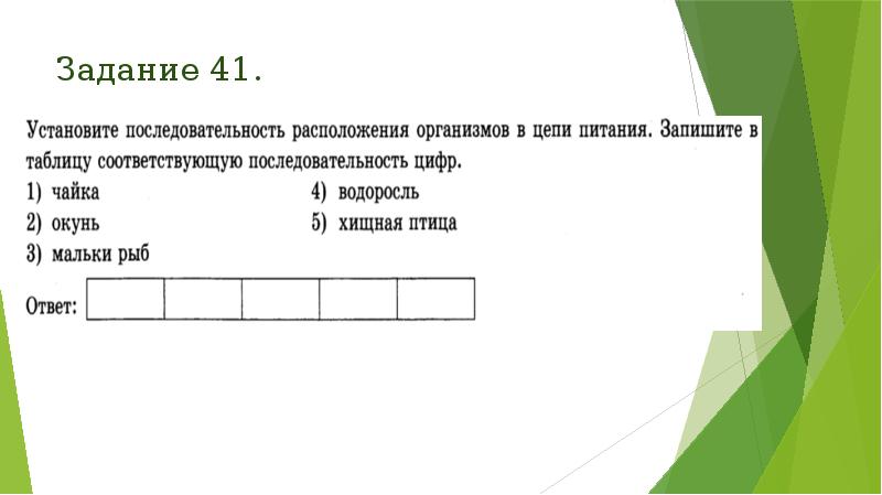 Задание 41. Задание 41.