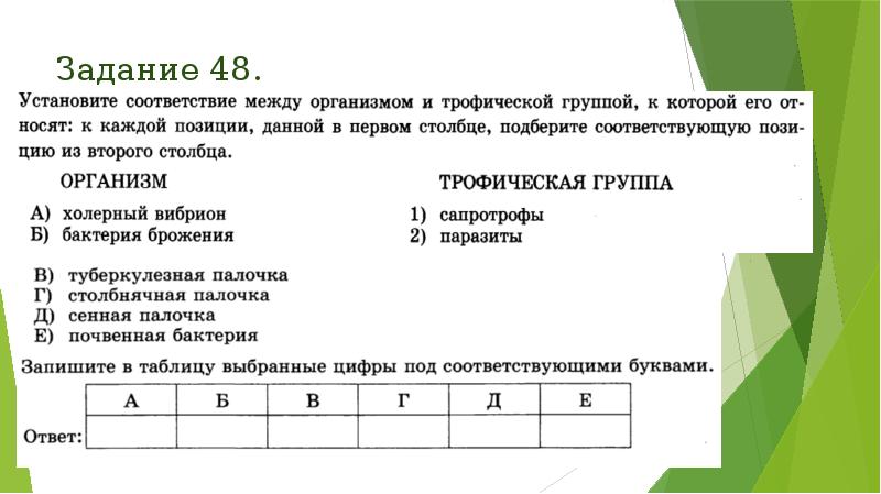 Задание 48. Задание 48.