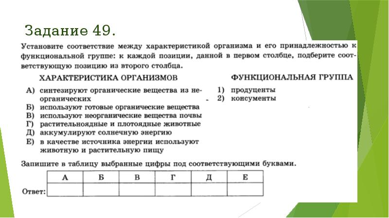 Задание 49. Задание 49.