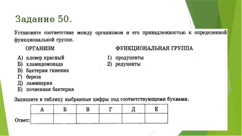 Задание 50. Задание 50.