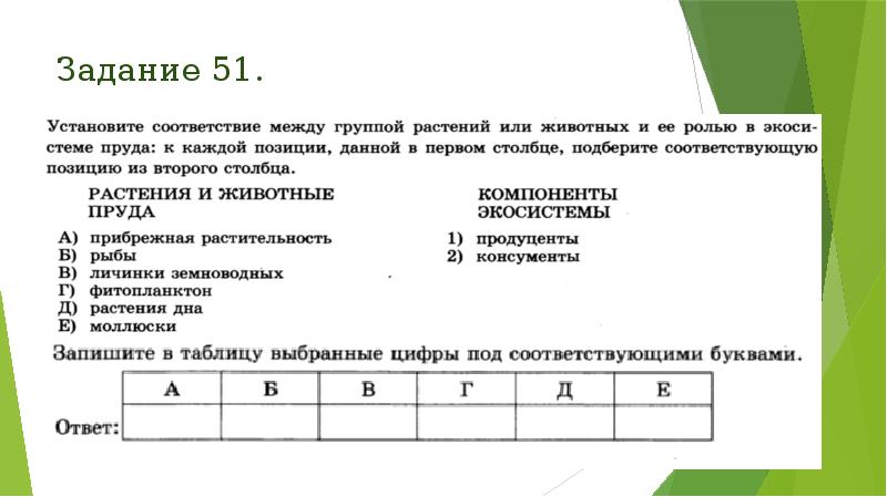 Задание 51. Задание 51.