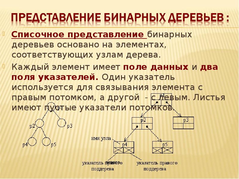 Соответствующие элементы. Бинарное дерево представление. Списочное представление дерева. Узловое представление бинарного дерева. Каждый элемент бинарного дерева.