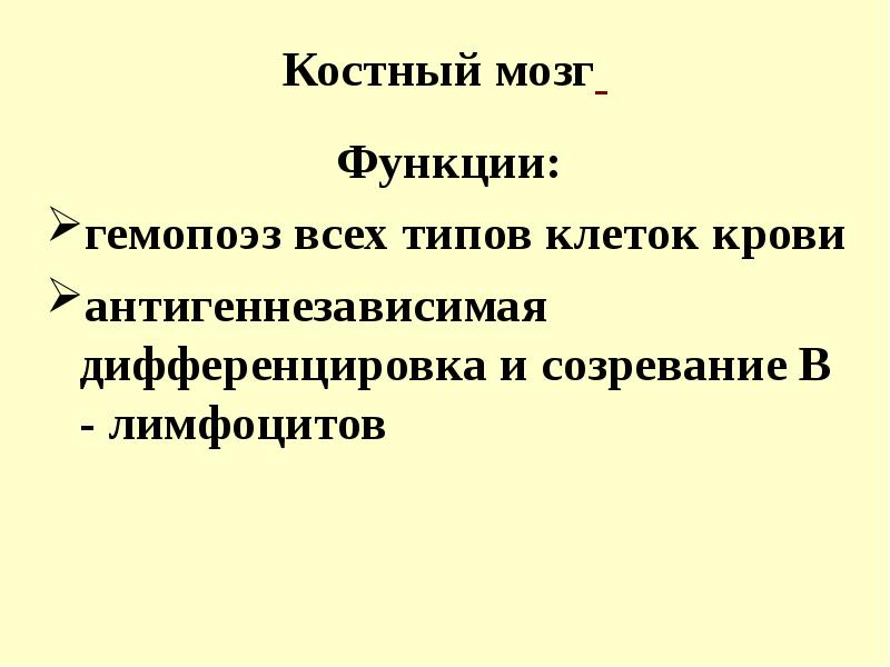 Роль желтого. Красный костный мозг функции. Желтый костный мозг функции. Желтый костный мозг функции кратко. Красный костный мозг функи.