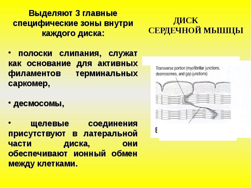 Специфическая зона. Степени умеренной зоны. Хорктерный призрак зоны степей. Порог острого действия химического вещества на организм это. Сенсорно-специфические зоны коры.
