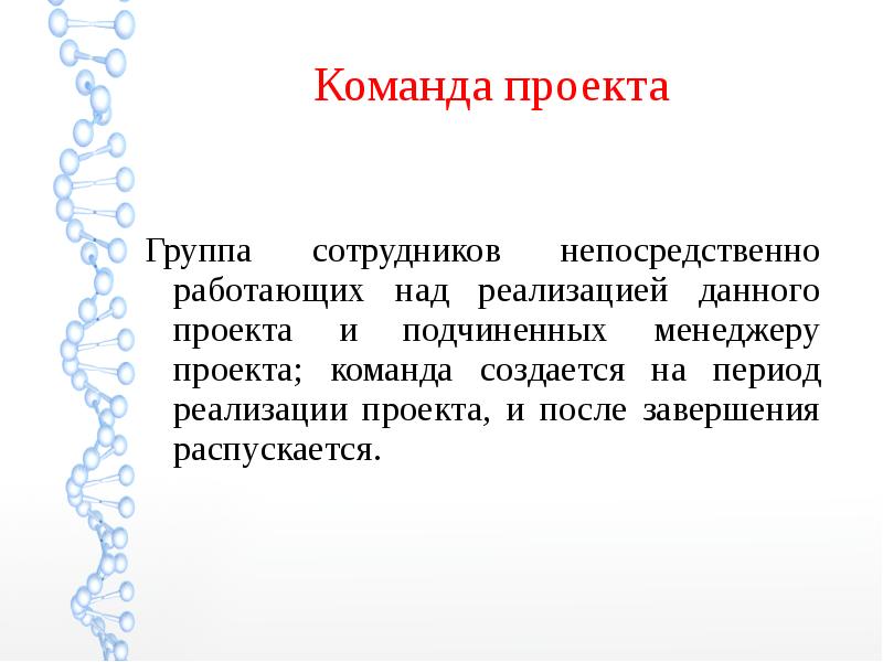 Группа специалистов непосредственно работающих над реализацией проекта