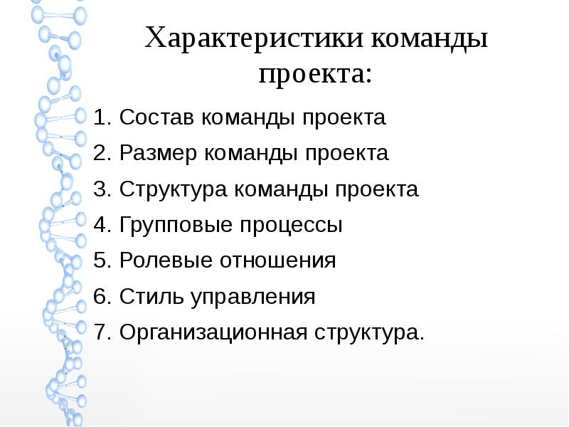 Основные характеристики команды проекта