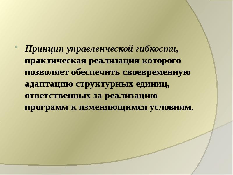 Практический обеспечить. Принцип гибкости в менеджменте. Принципы управленческой динамики. Принцип гибкости управления. Однократное действие.