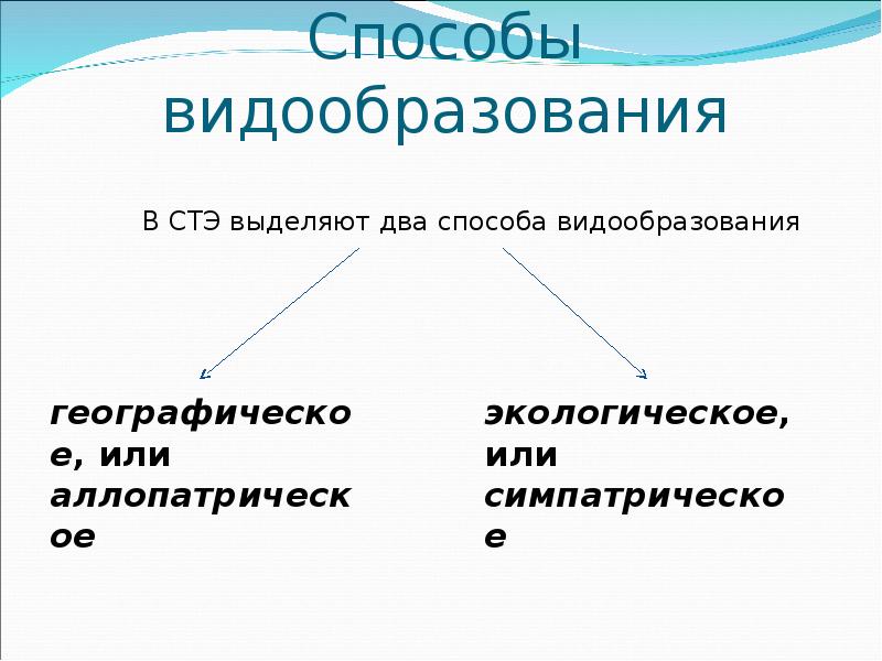 Презентация современная теория эволюции 9 класс