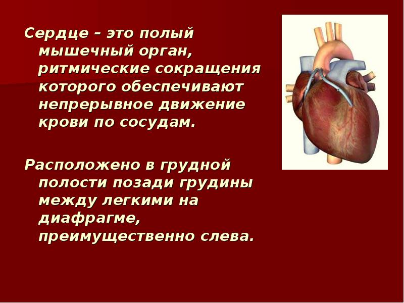 Рас сердца это. Врожденныепопроки сердца. Границы относительной тупости сердца анатомия. Хроническое легочное сердце гемодинамика. Строение сердца человека анатомия.
