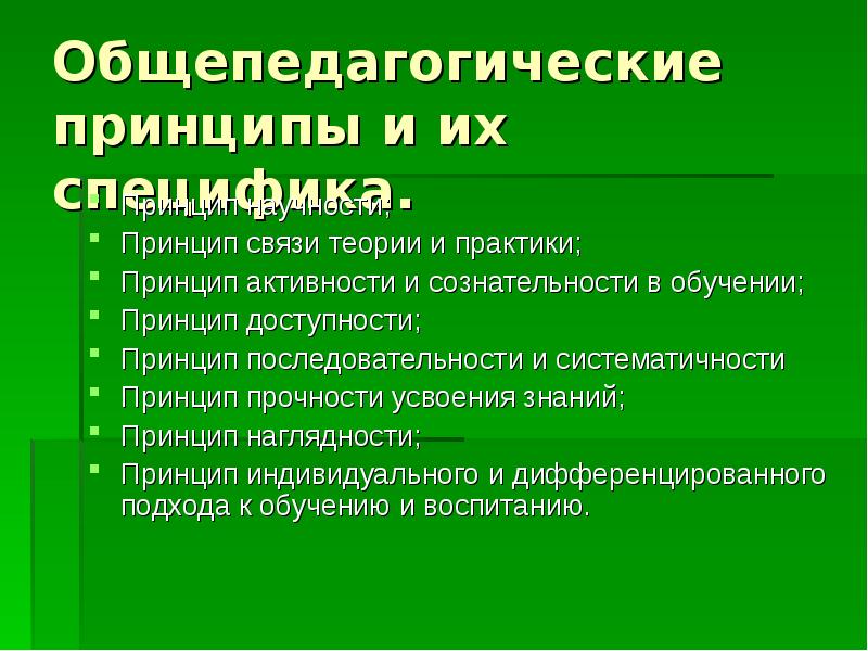 Основы дидактики специальной педагогики презентация