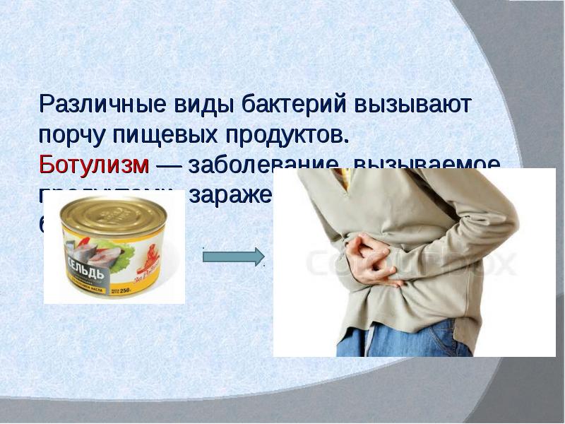 Как можно защитить продукты от бактерий