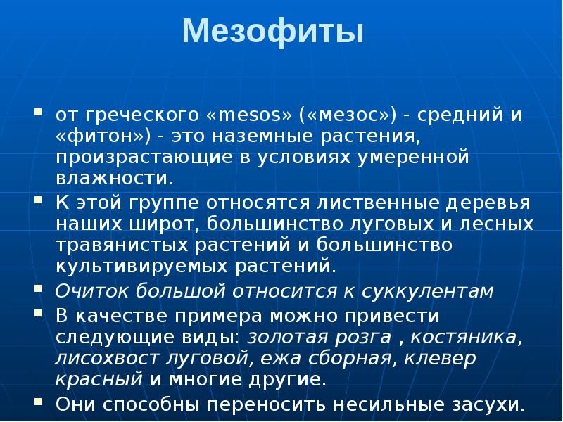 Примеры мезофитов