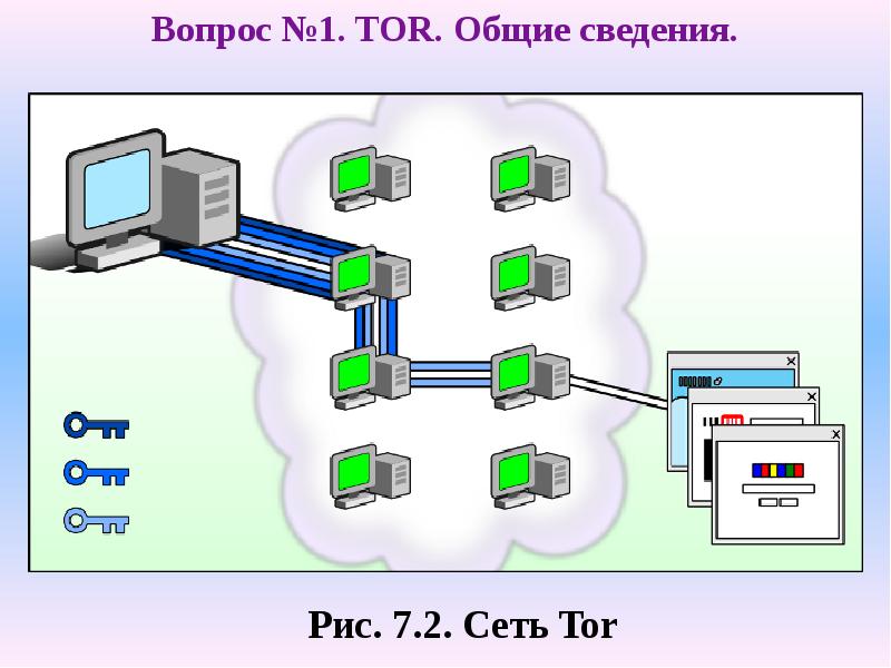 Что такое проект тор