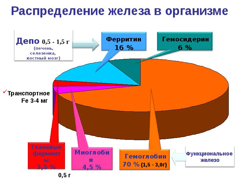 Железодефицитная анемия диаграмма