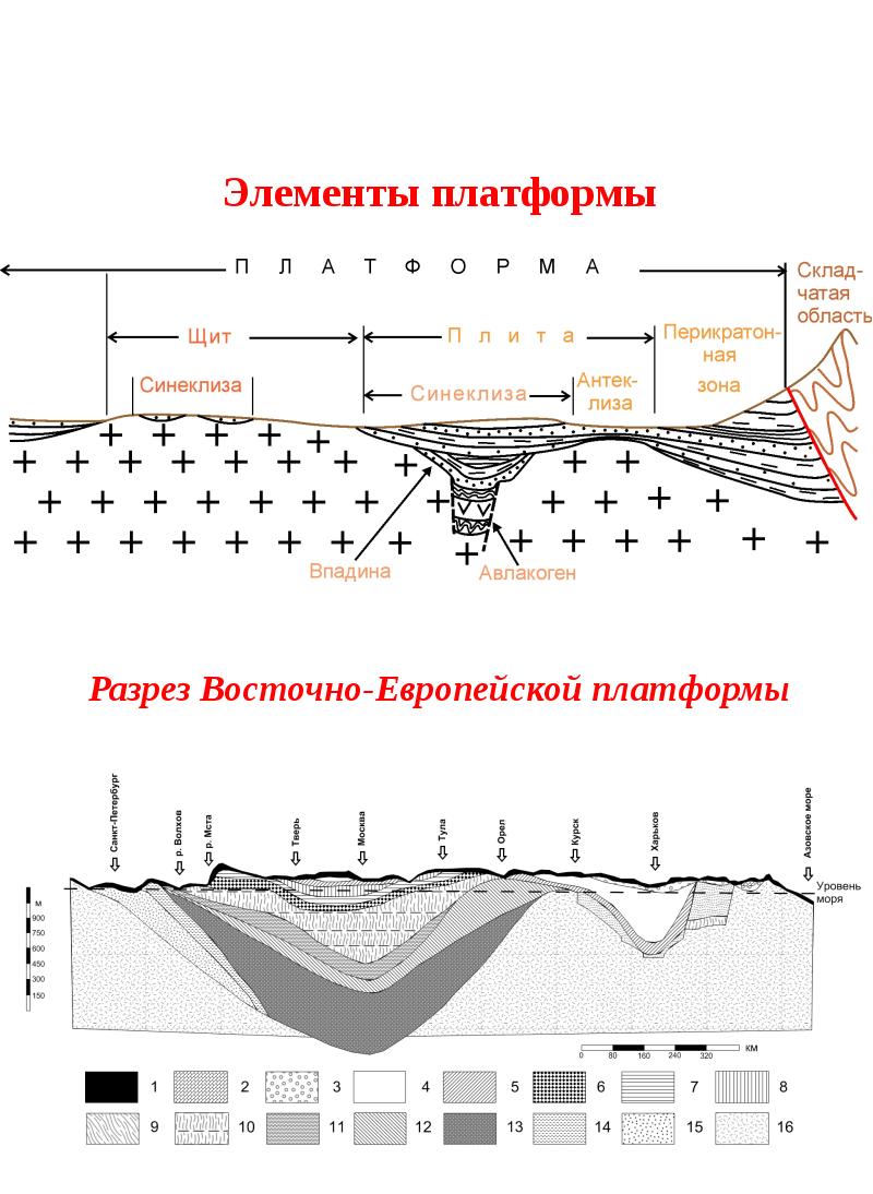 Строение платформы. Строение древней платформы. Схема строения платформы. Разрез Восточно-европейской платформы. Структурные элементы платформ.