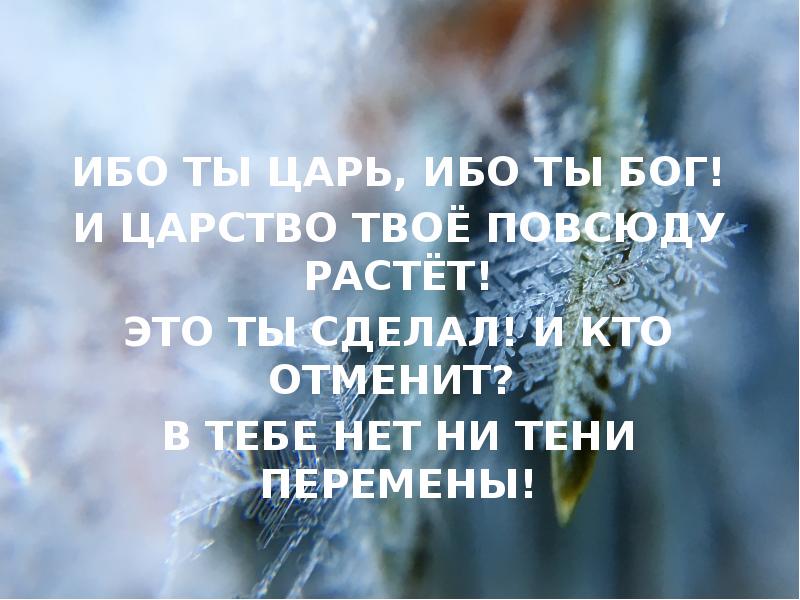 Ты не царь ты Бог. И царство ваше падет. Ты царь царей слова. Ты мой царь и Бог.