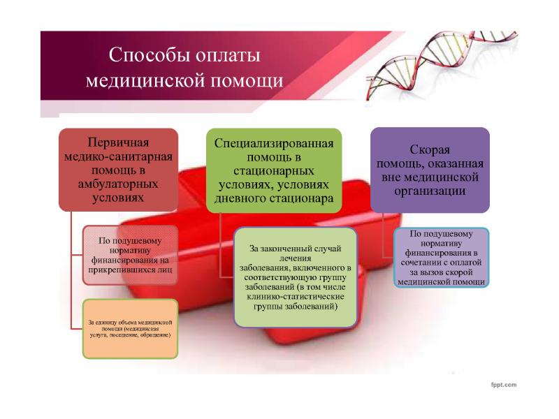 Обязательная программа. Территориальная программа ОМС презентация.