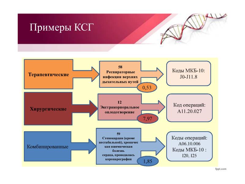 Путь коды