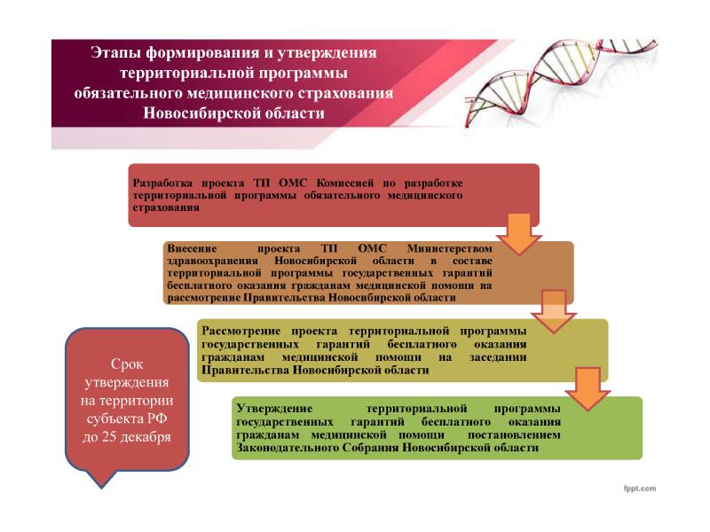 Базовая и территориальная программа омс презентация