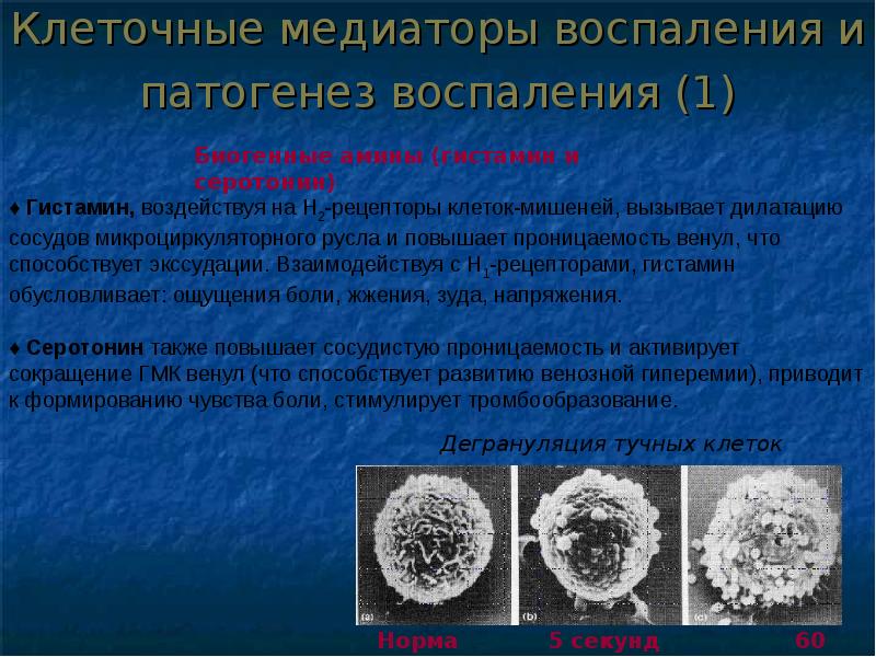 Воспаление презентация по патофизиологии