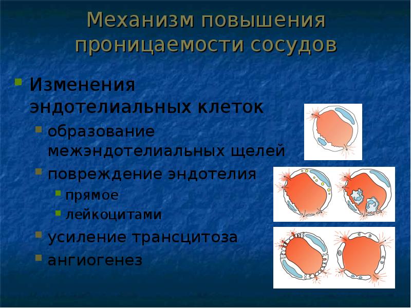 Повышенная сосудистая проницаемость