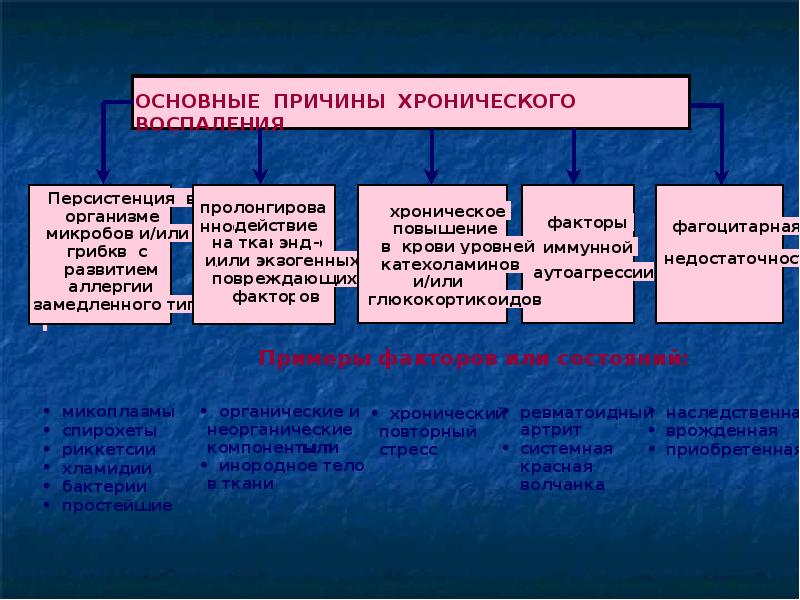 Медиаторы воспаления вызывают схема