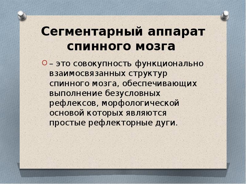 межсегментарные связи спинного мозга. сегментарное поражение спинного мозга. синдром поражения сегментарного аппарата спинного мозга. сегментарное поражение спинного мозга. зоны сегментарной иннервации с1 с4.