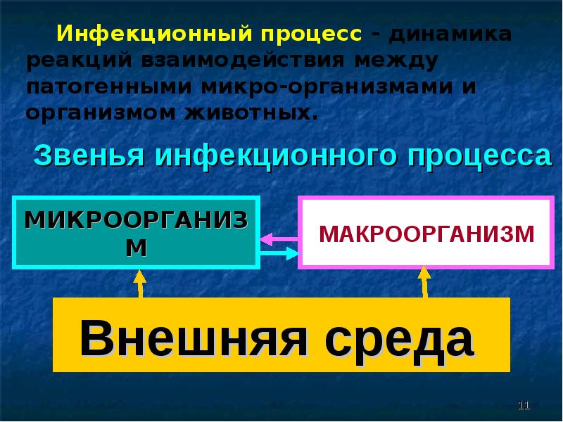 Процесс ю. Звенья инфекционного процесса. Инфекционный процесс звенья инфекционного процесса. Перечислите основные звенья инфекционного процесса. Звенья необходимые для возникновения инфекционного процесса.