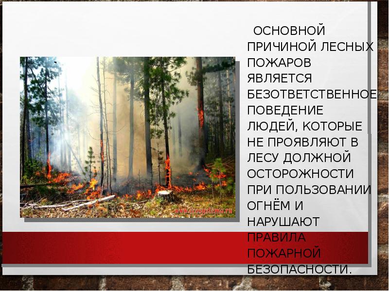 Профилактика лесных пожаров. Основной причиной лесных пожаров является. Основной причиной лесных пожаров является людей которые не проявляют. Причины лесных пожаров картинки. Памятку для учащихся «профилактика лесных и торфяных пожаров»..