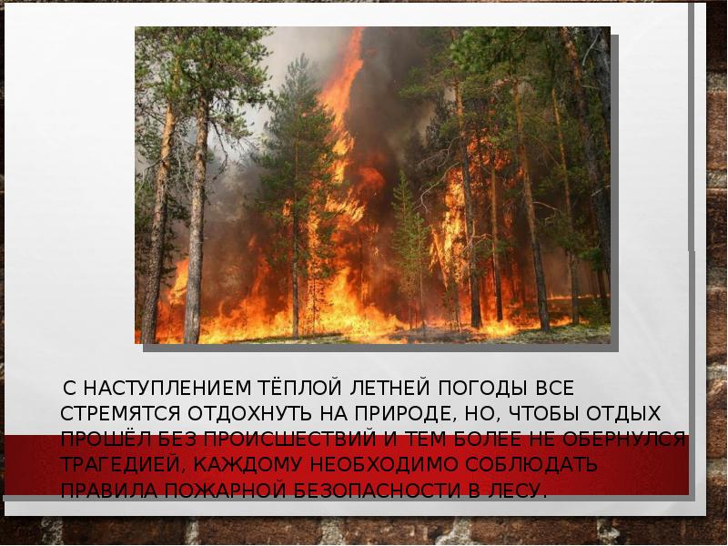 Профилактика лесных пожаров защита населения