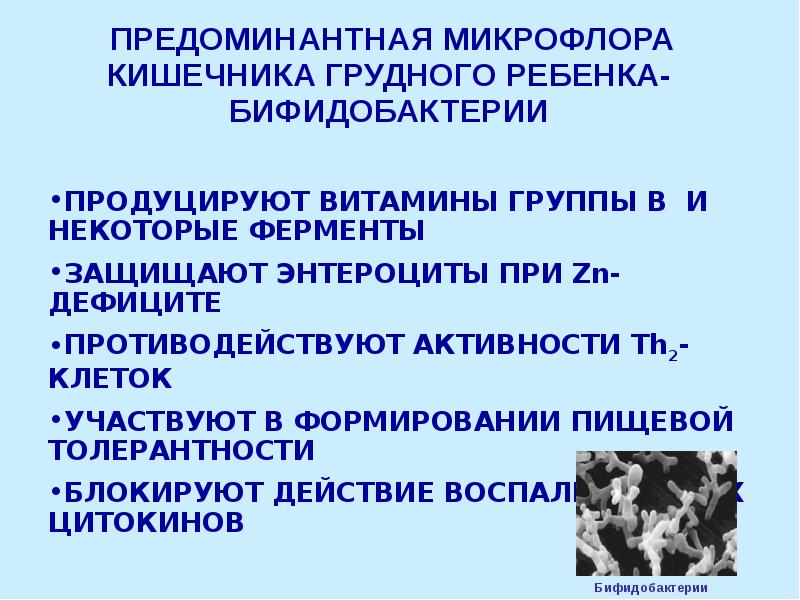 Динамика развития иммунной системы новорожденного ребенка. Критические периоды иммунной системы у детей. Формирование иммунитета. Формирование иммунитета у детей. Особенности формирования иммунитета.