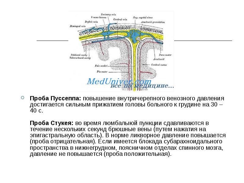 как измерить вчд. повышение внутричерепного давления. что повышает внутричерепное давление. берут ли с внутричерепным давлением. внутричерепное давление.