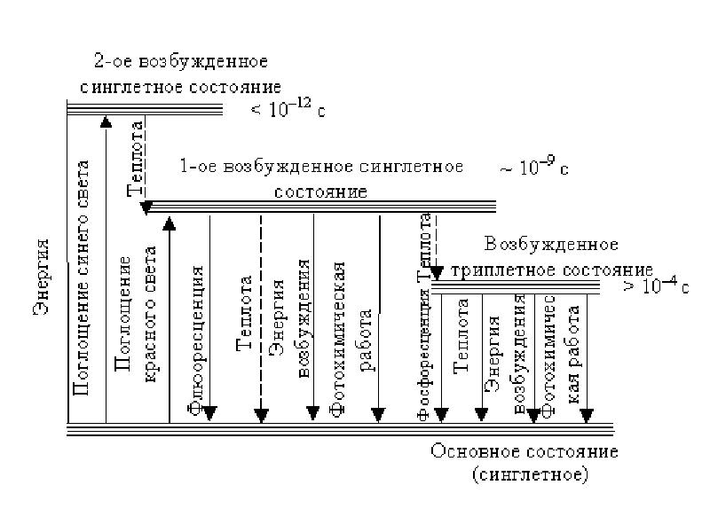 Возбужденные уровни. Триплетное возбужденное состояние. Синглетное и триплетное возбужденные состояния. Основное синглетное состояние. Синглетное и триплетное состояние хлорофилла.