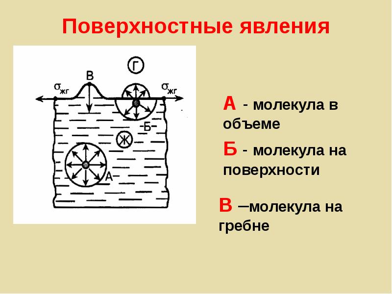 Поверхностные явления презентация