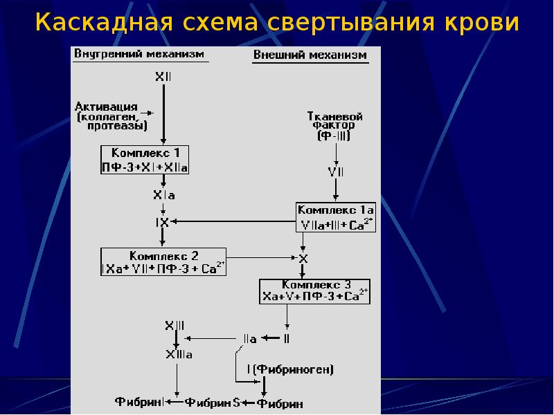 Схема свертывания крови