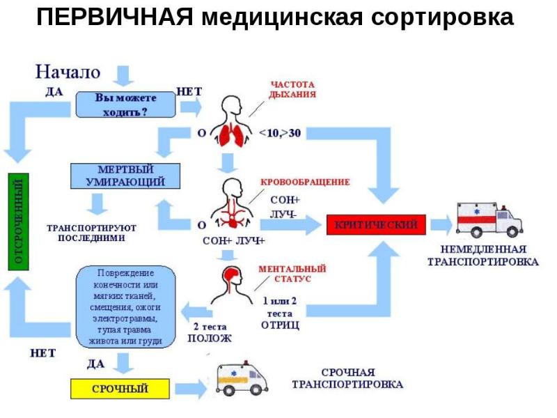 Презентация медицинская сортировка пострадавших при чс