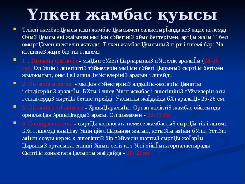 Үлкен жамбас қуысы  Үлкен жамбас қуысы кіші жамбас қуысымен салыстырғанда
