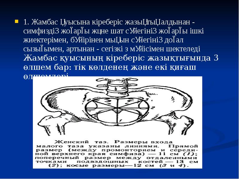 1. Жамбас қуысына кіреберіс жазықтық алдынан - симфиздің жоғарғы және шат