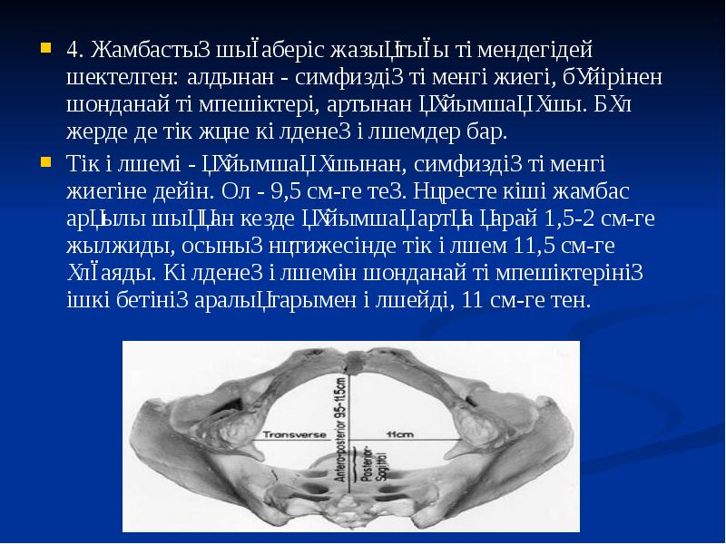 4. Жамбастың шығаберіс жазықтығы төмендегідей шектелген: алдынан - симфиздің төменгі жиегі,