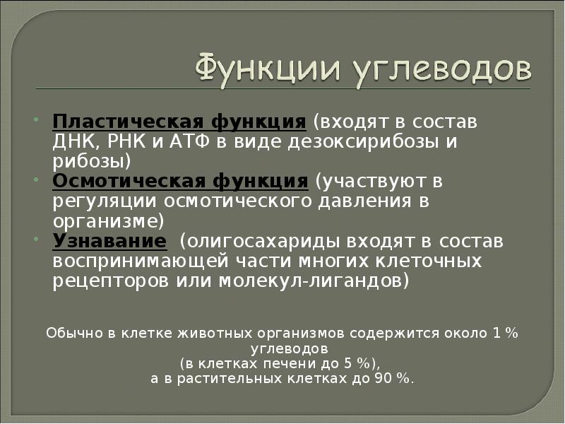 Пластические белки. Пластическая функция углеводов. Пластическая функция углеводов в клетке. Функции пластической функции. Пластический комплекс функции.