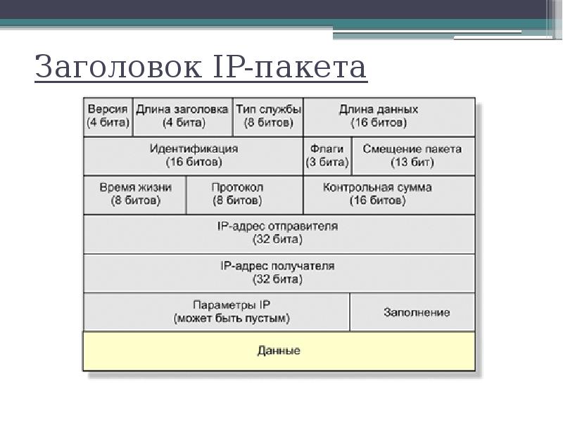 Ip проекта что это