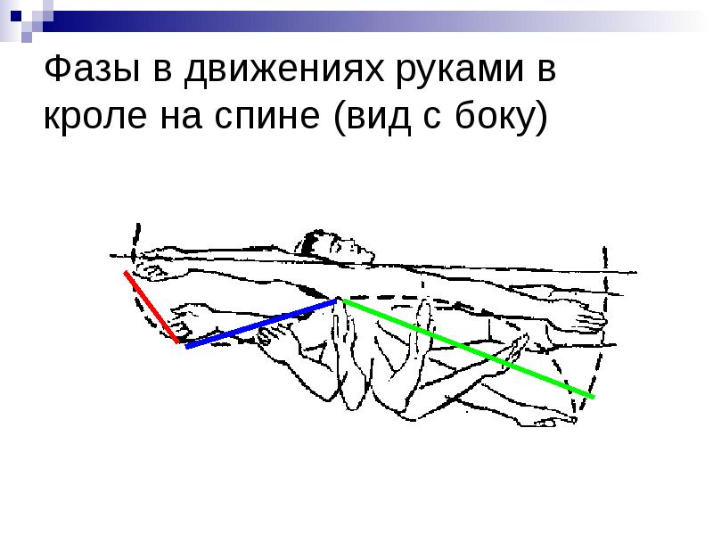 Основы техники плавания презентация