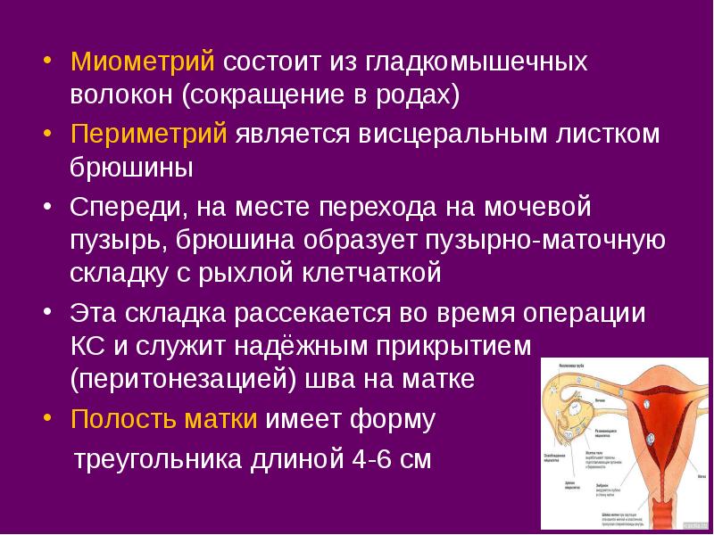 Презентация на тему репродуктивная система