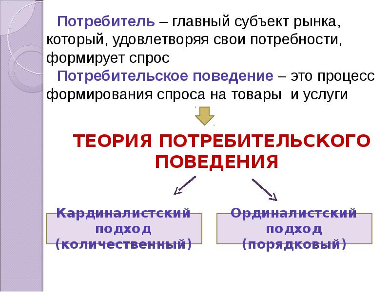 Проект поведение потребителя