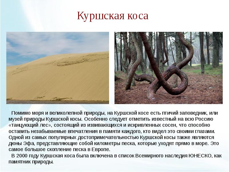 Куршская коса информация для проекта